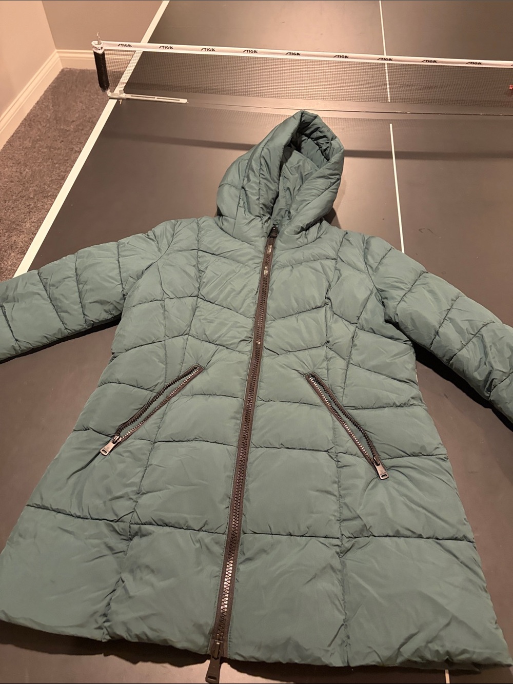 Bernardo green long coat